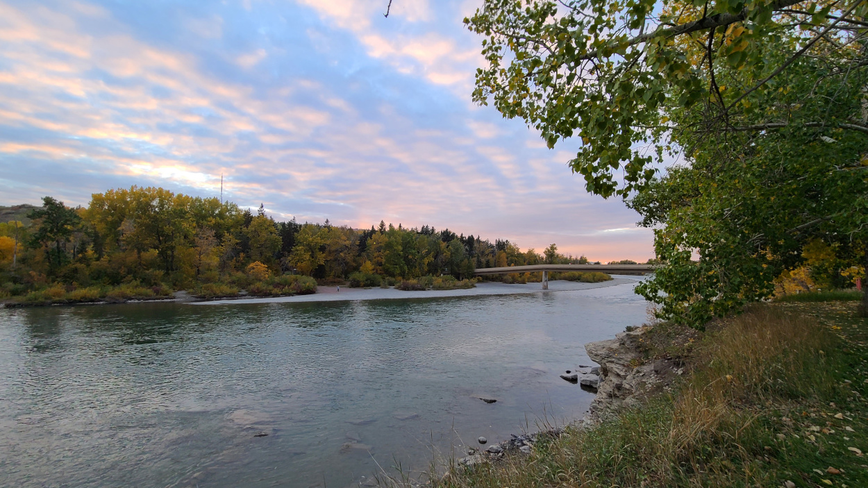 The Bow River flowing through Edworthy Park in Calgary. 